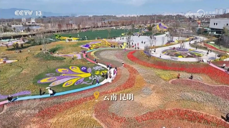 幸福产业”书写乡村振兴“花样”答卷(图1) 幸福产业”书写乡村振兴“花样”答卷(图1)